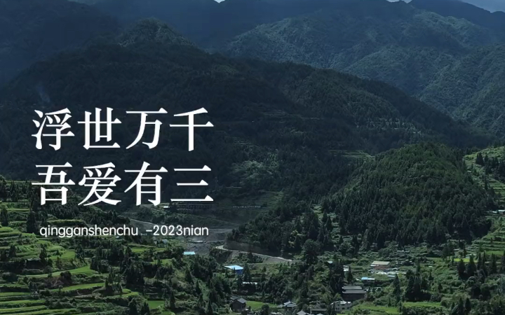 "浮世三千,吾爱有三,日月与卿,日为朝,月为暮,卿为朝朝暮暮"