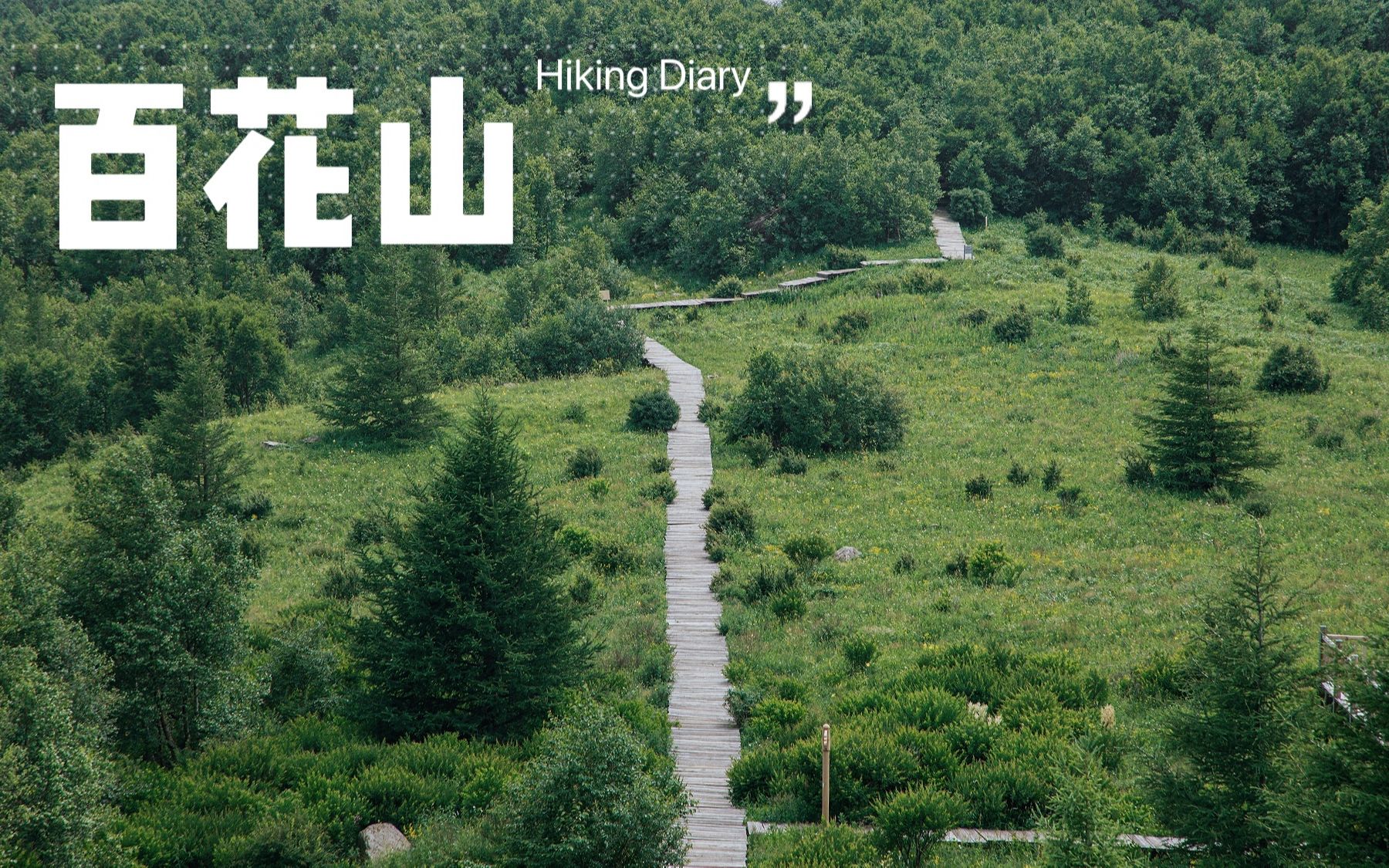 [图]绿草如茵，山花争艳，举目入画，处处有景。北京门头沟百花山景区