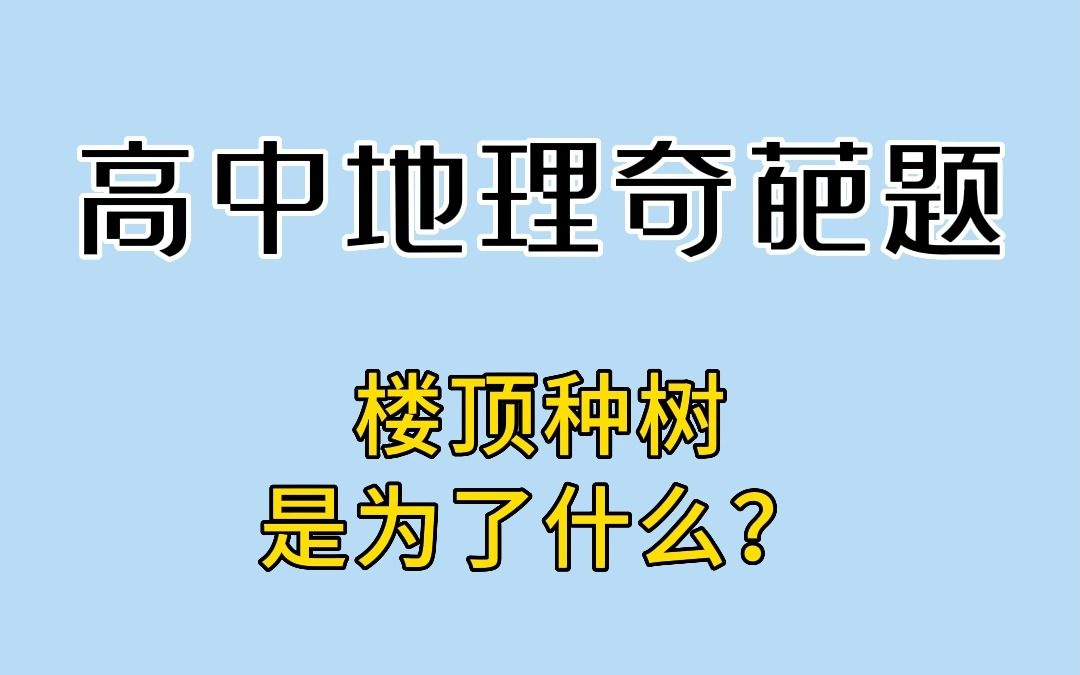 楼顶种树是为了什么?防止内涝!哔哩哔哩bilibili