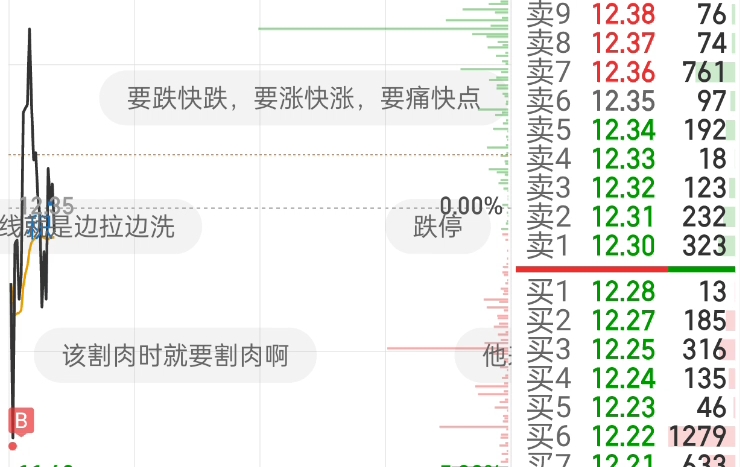 完辣,不活辣,大盘也下来了,其他股都高不敢买,加仓常山没跑,还有救吗哔哩哔哩bilibili