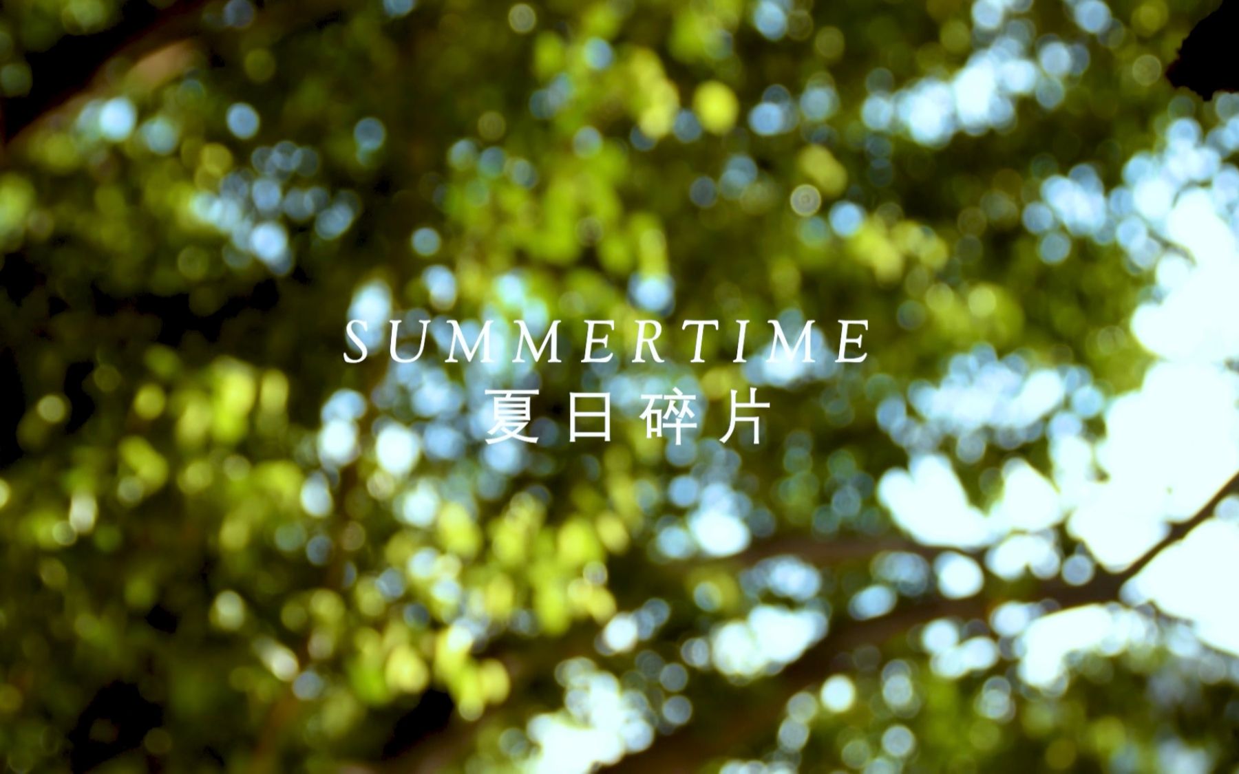 [图]夏 日 碎 片 / SUMMERTIME