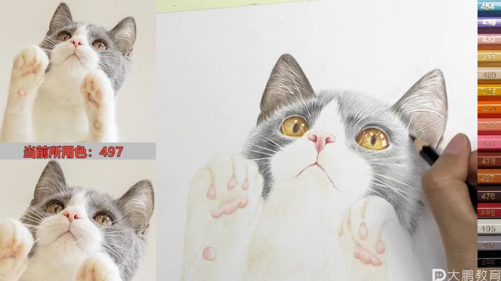 彩铅(猫咪3)