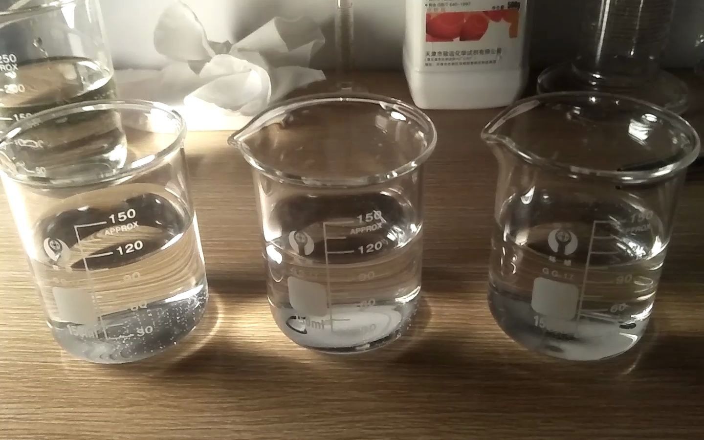 高二生物光合作用实验视频(高中生物必修一光合作用图解)