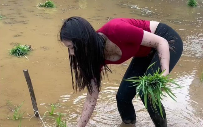 勤劳的农村小仙女