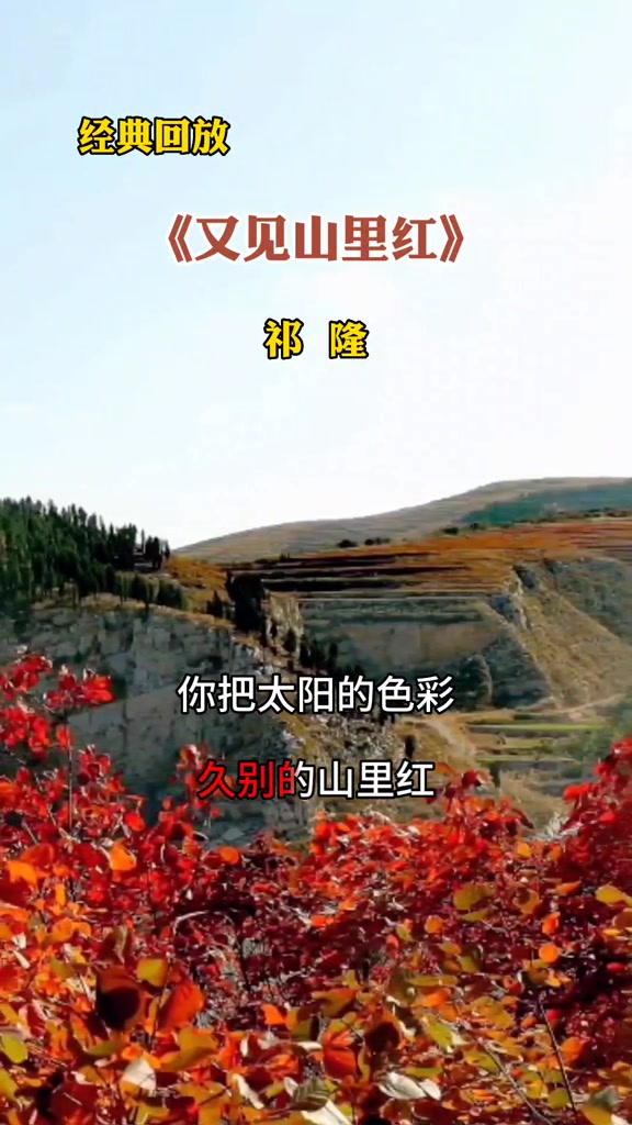 又见山里红原唱祁隆无剪辑完整版经典歌曲欢迎聆听哔哩哔哩bilibili