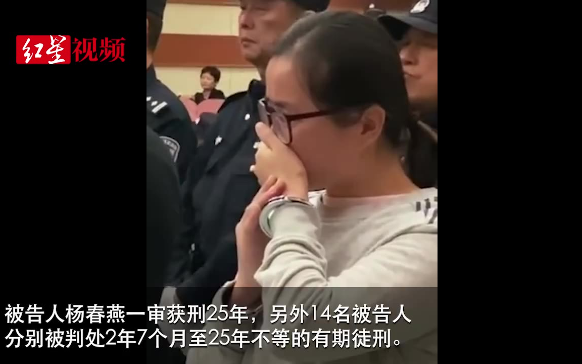 合肥涉黑女老大获刑25年:侵占财物,胁迫未成年人哔哩哔哩bilibili