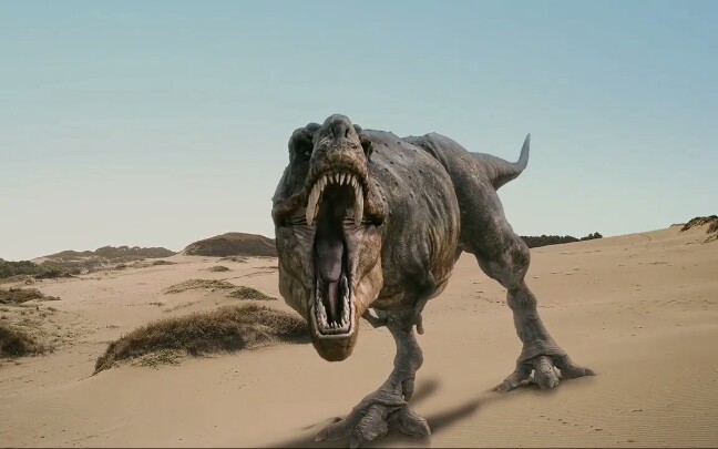 特暴龙【sold out】——中国最强大的食肉恐龙