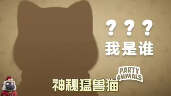 Download Video: 神秘猛兽猫