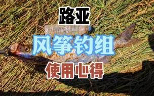 下载视频: 风筝钓组使用心得分享