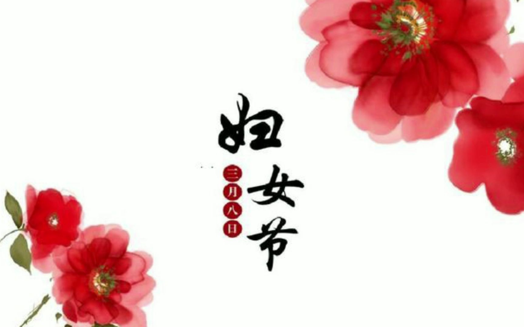 三八妇女节哔哩哔哩bilibili