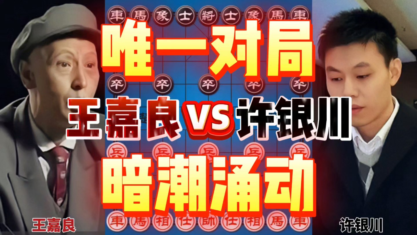 60岁王嘉良vs17岁许银川 唯一的对局 想弃子对手不给机会