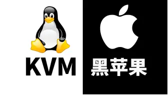 Video herunterladen: 最后一舞？Linux上使用KVM安装黑苹果踩坑记录