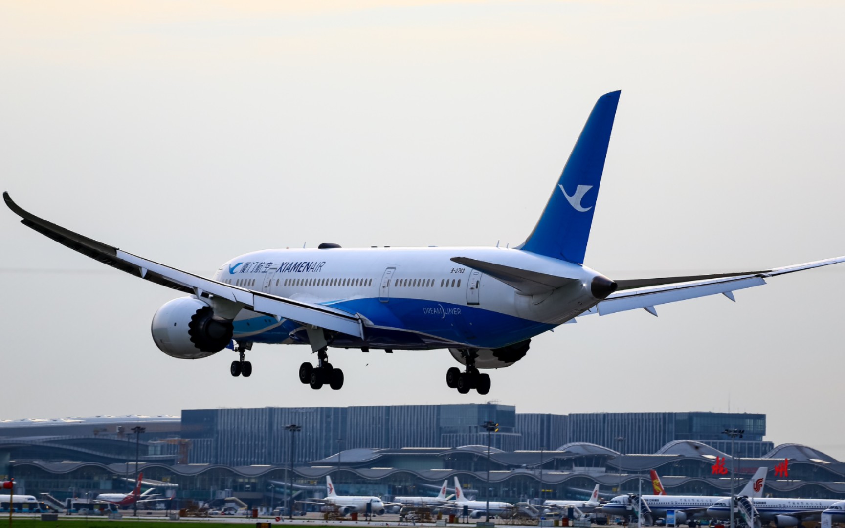 【hgh】厦门航空b787-8大白鹭 25跑道降落