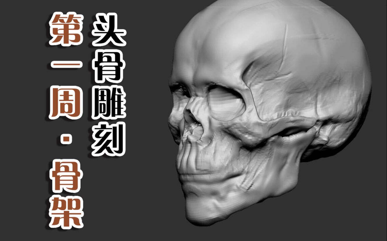 转载01zbrush头骨雕刻讲解大师级教程人物面部人脸造型雕刻