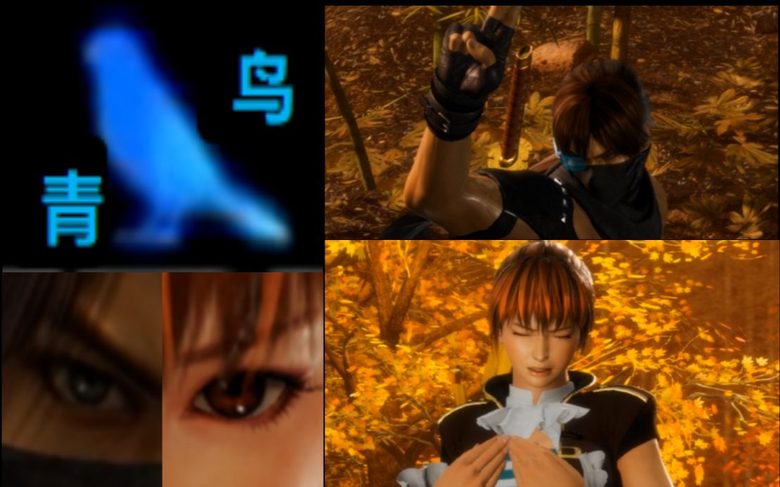 活动  以火影的方式打开doa 音乐祭の青鸟 混剪配乐