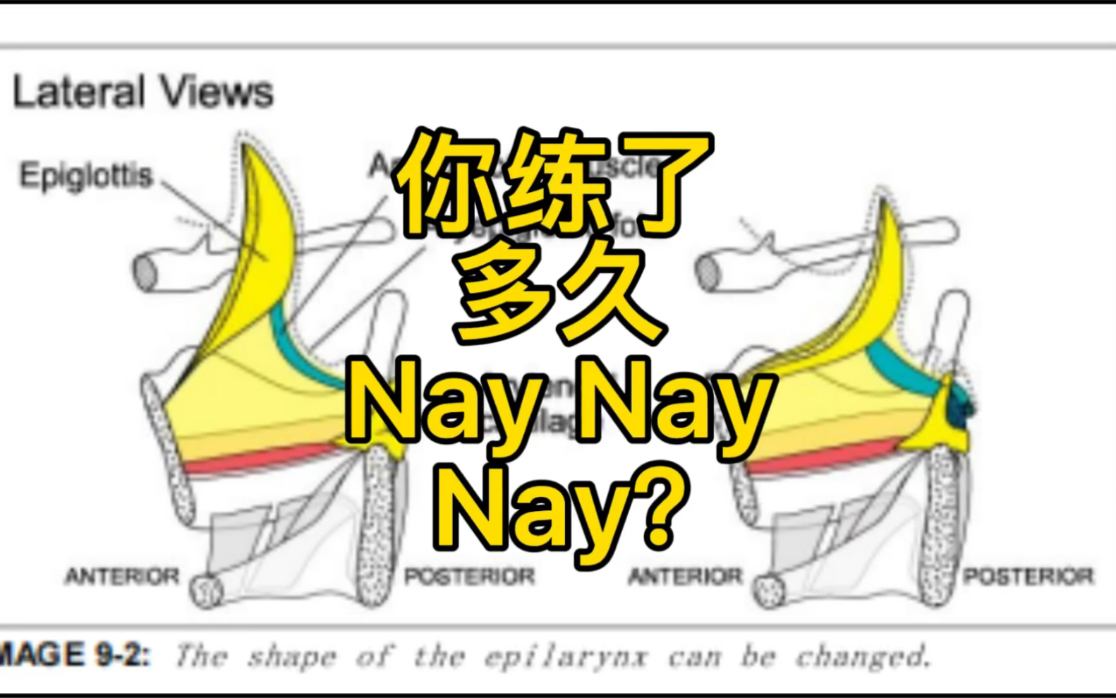 唱歌的音质_哔哩哔哩_bilibili