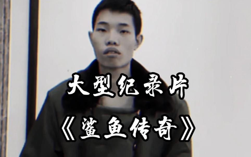 大型纪录片《鲨鱼传奇》第一老六主播