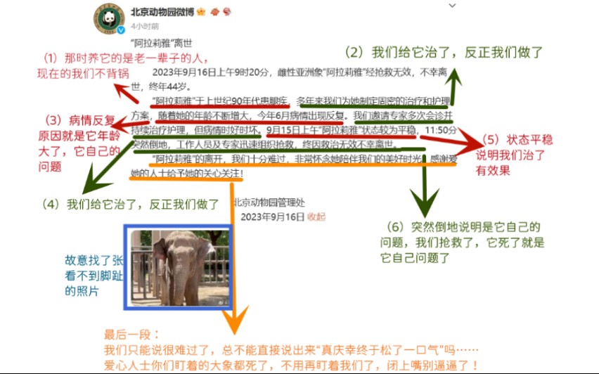 国家首都动物园:北京动物园VS捍卫动物组织:IDA认证北美十大最差动物园榜首哔哩哔哩bilibili