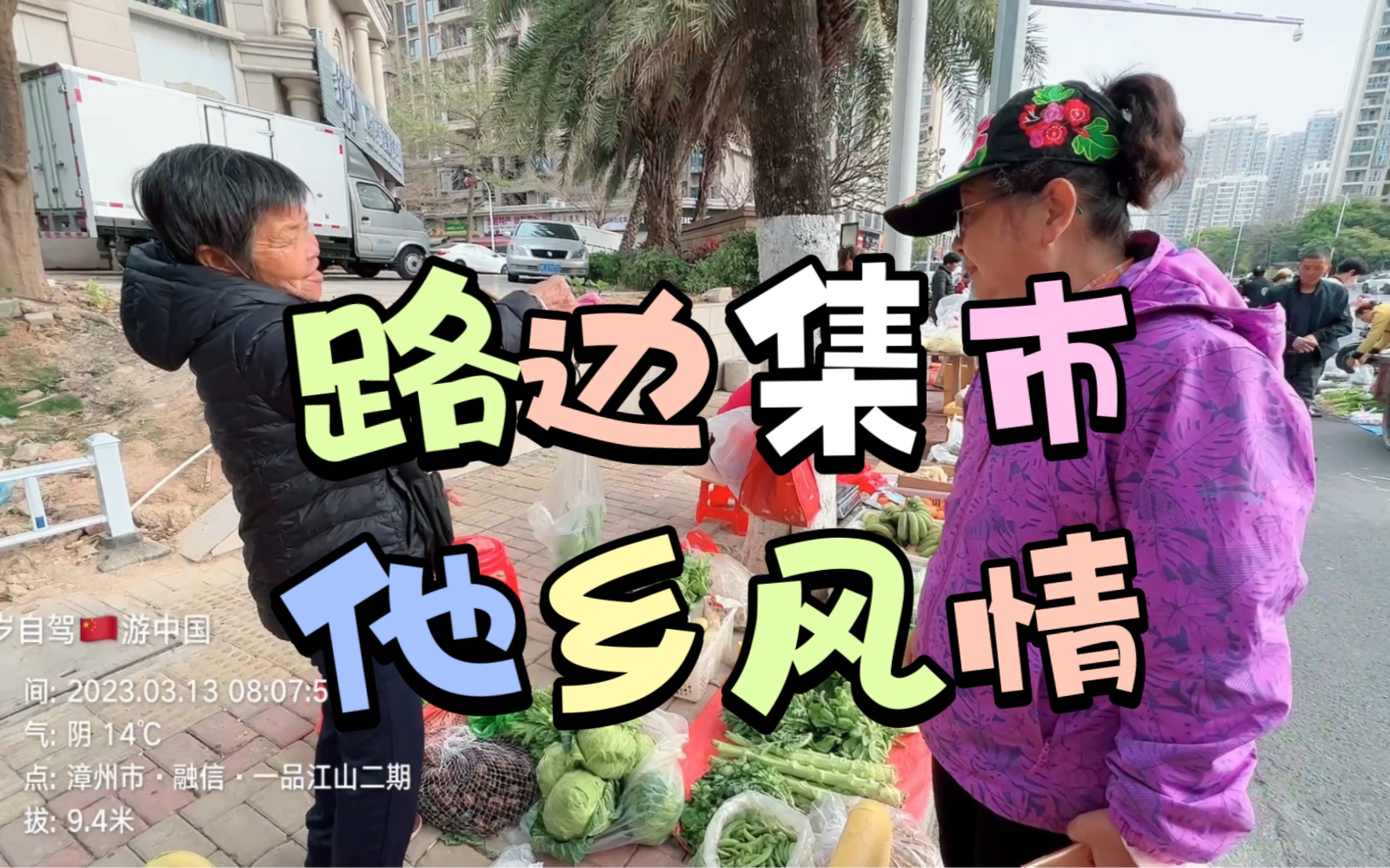 [图]木棉树下的路边集市，跟着八旬自驾老头的镜头走一遭，看看他乡风情，老太的杆秤好有年代感