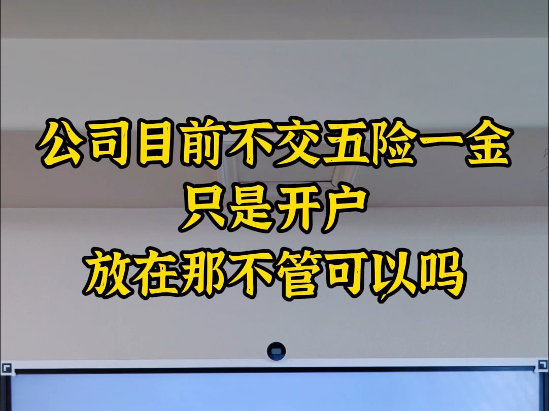 公司目前不交社保只是开户,放在那不管可以吗哔哩哔哩bilibili