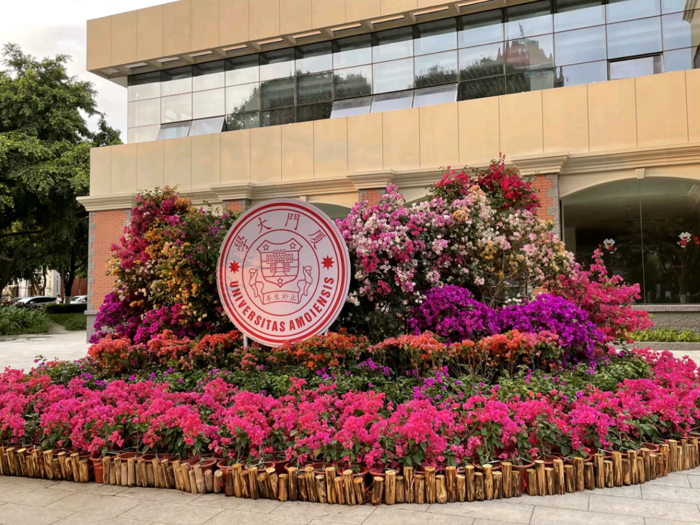 厦门大学百年校庆校友回家打卡/随手一拍就是美景#最美校园,没有之一/我爱你,不要再见!哔哩哔哩bilibili