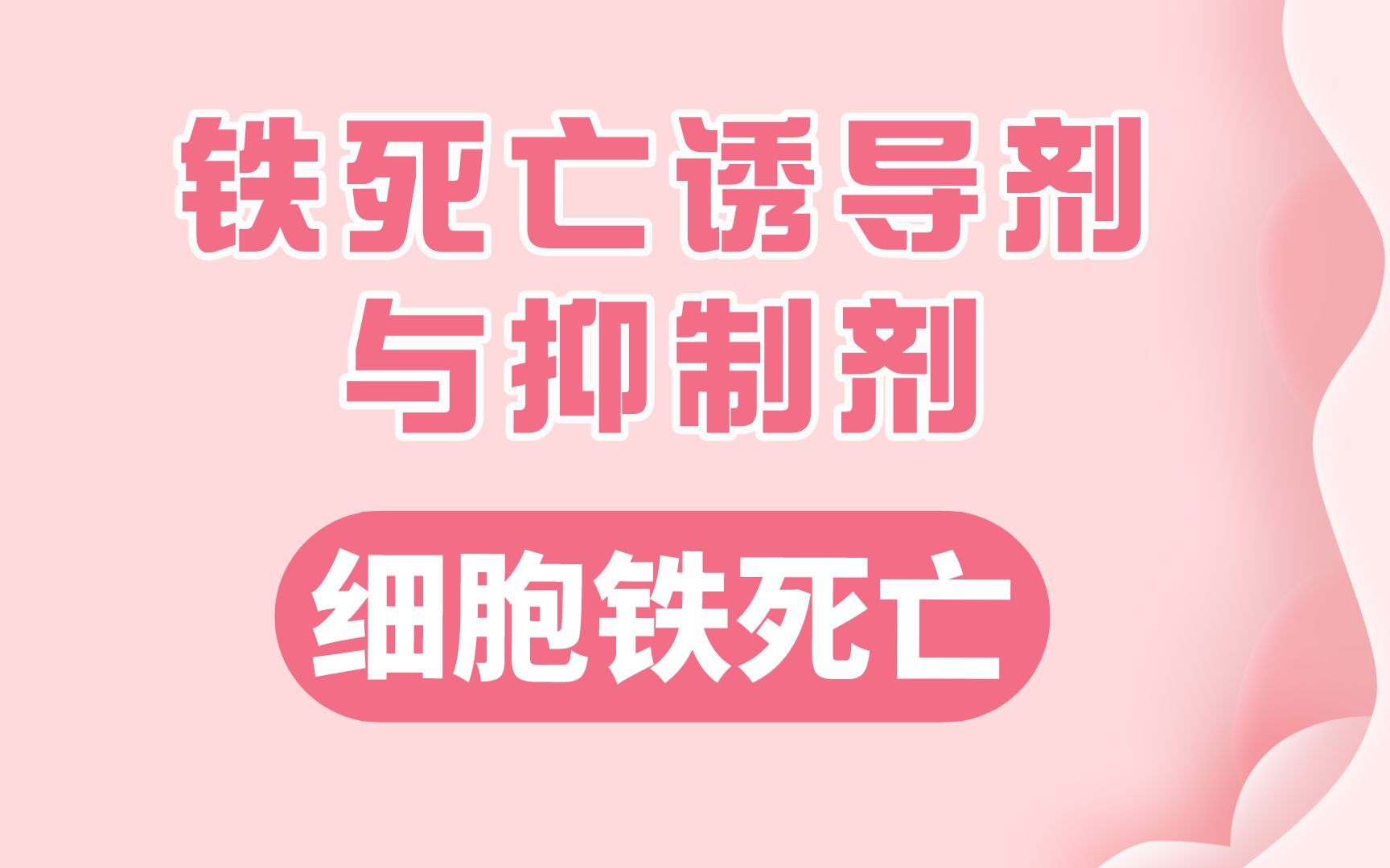 如何让细胞发生铁死亡之铁死亡诱导剂与抑制剂哔哩哔哩bilibili