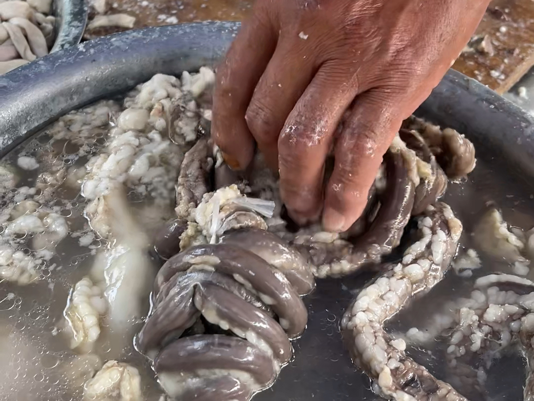 河北沧州美食羊肠子,15一碗,现点现切颜色不错,外地吃不到哔哩哔哩bilibili