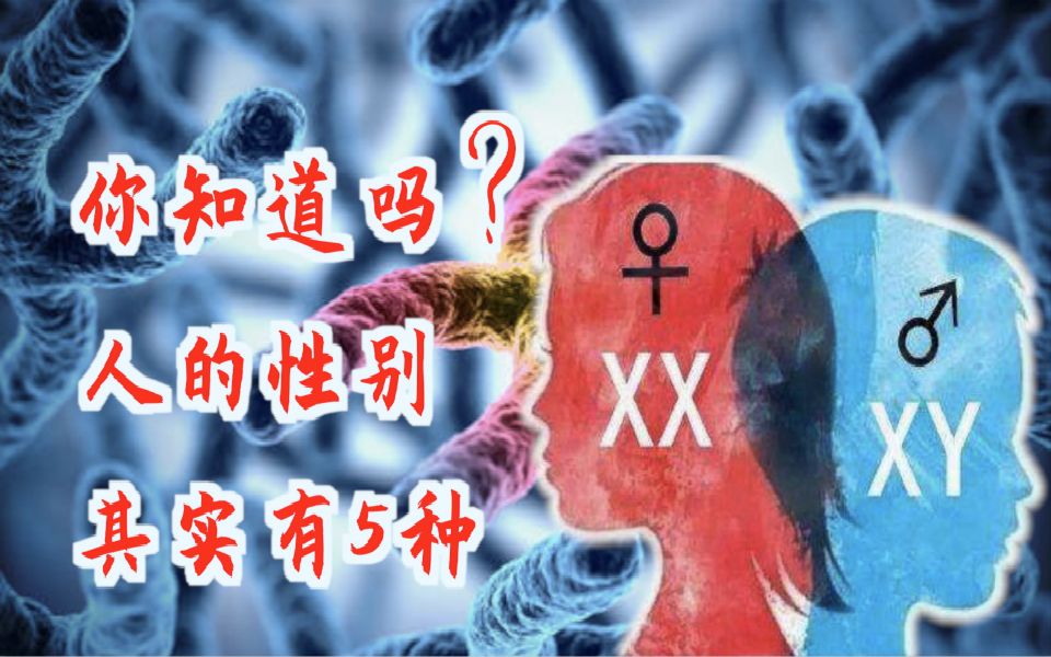 人类共有多少种性别?不只有男和女,实际共有5种哔哩哔哩bilibili