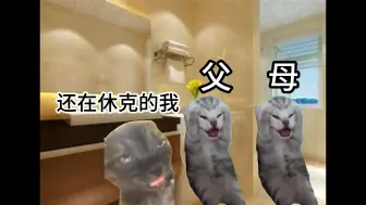 Download Video: 【猫meme】关于我胃溃疡后休克住院这件事（上）)