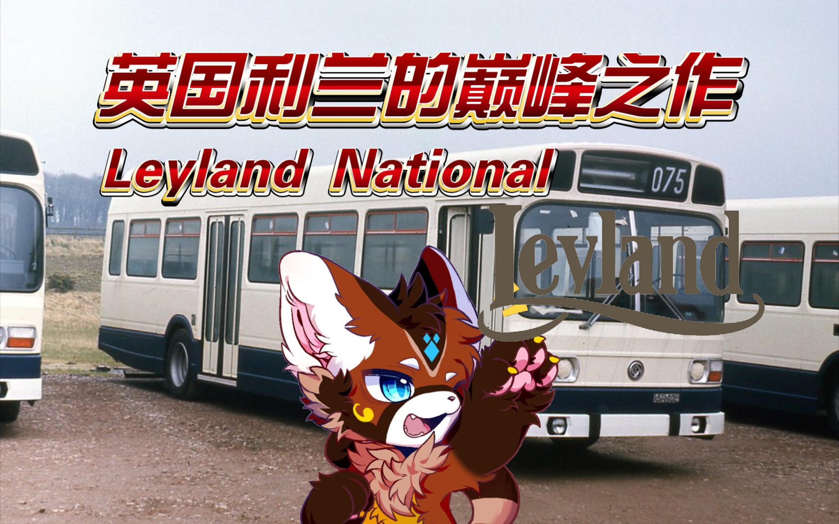 英国利兰巅峰之作 Leyland National简介哔哩哔哩bilibili