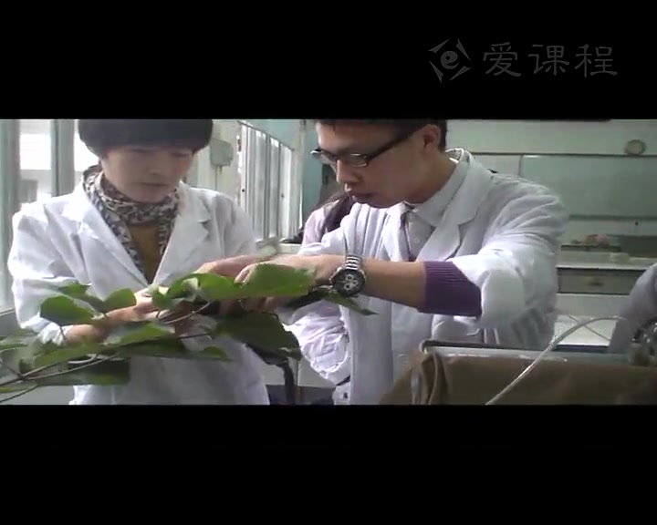 [图]【植物生理学】华南师范大学丨含课件