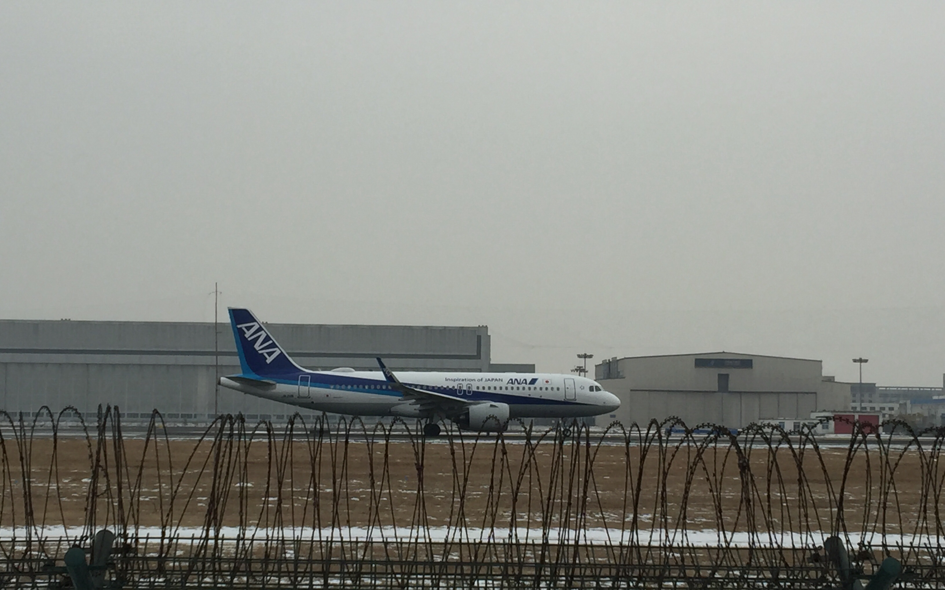 【日常】全日空a320neo 沈阳起飞