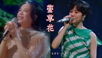 Descargar video: 【Hi-Res声生不息】黄绮珊&郁可唯《萱草花》深情唱给天下母亲永不遗忘的爱，混剪MV