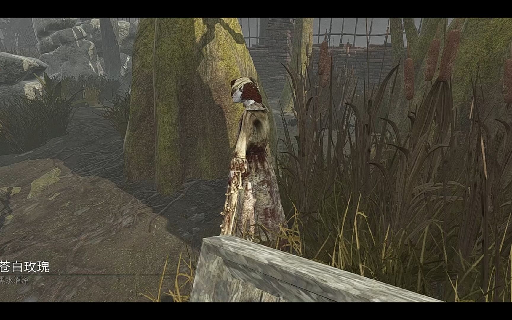 【黎明杀机】苍白玫瑰——透视流护士