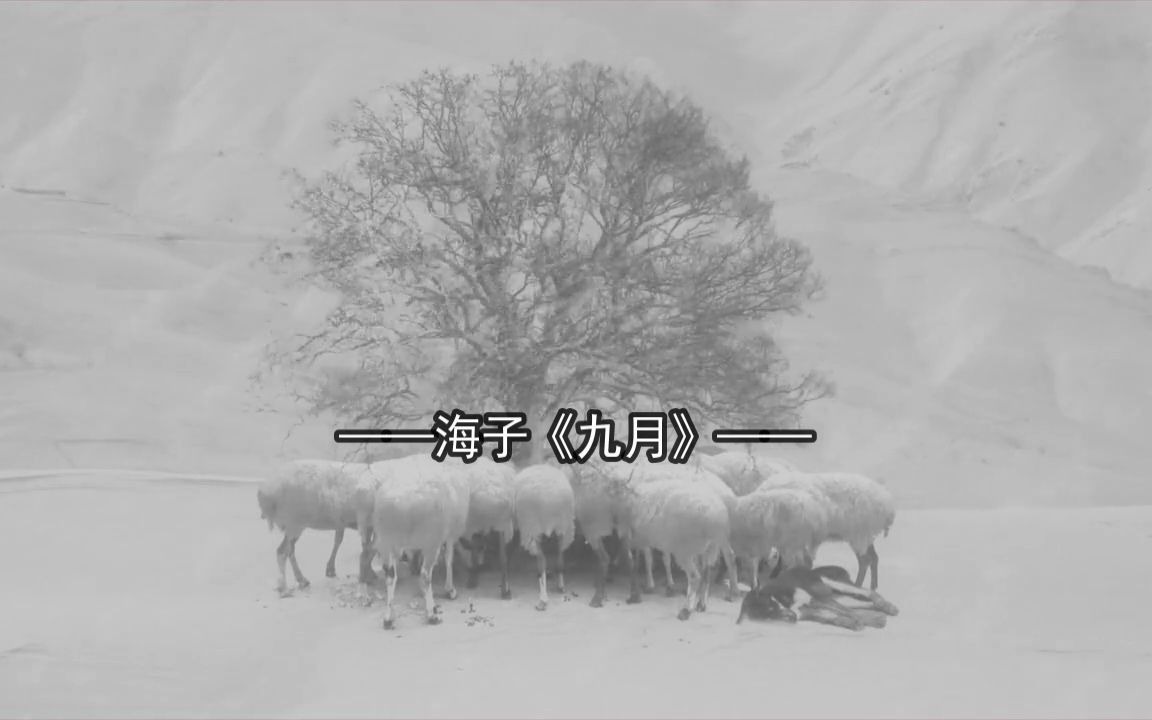 》中国《海子》九月》目击众神死亡的草原上野花一片 #现代诗 #最美雪景 #雪 #诗歌 #海子 #哔哩哔哩bilibili