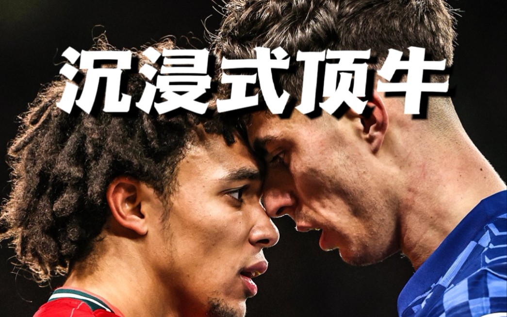 来体验沉浸式顶牛