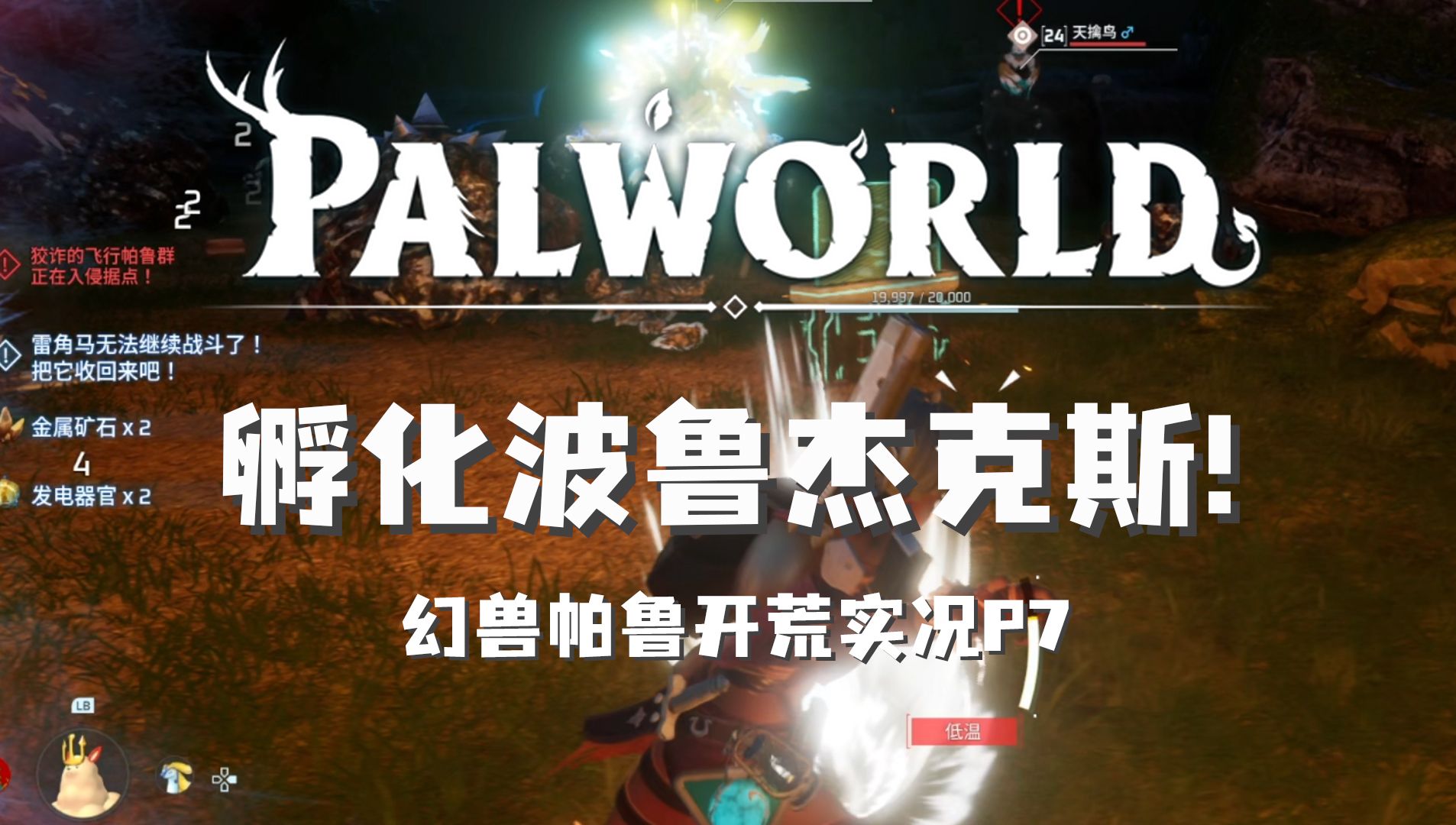 开始手动孵化波鲁杰克斯/全新体验幻兽帕鲁游戏开荒实况p7/palworld