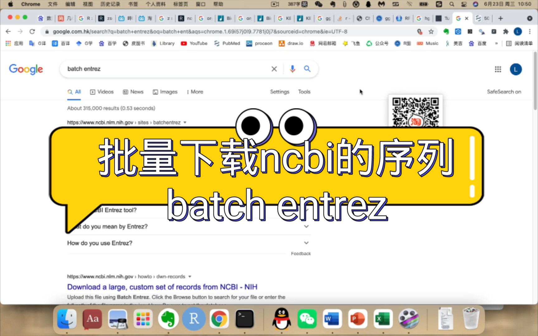 ncbi如何批量下载序列用ncbi batch entrez 批量下载序列,有accession号就可以 定制教程就是这样的,减少宝贵的时间哔哩哔哩bilibili