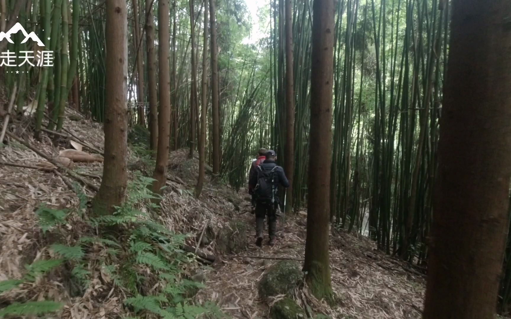 [图]流水淙淙，飞瀑流泉，竹影婆娑，四川雅安市芦山县宝盛场千子沟