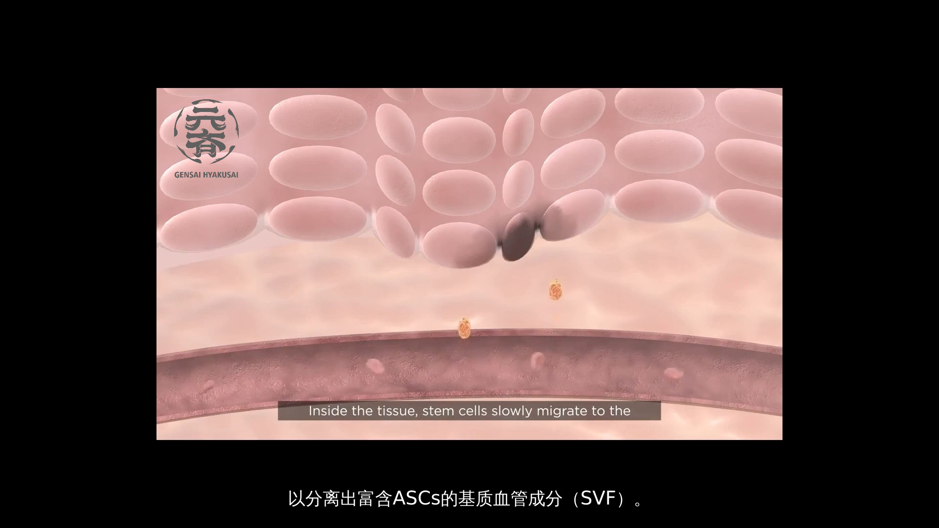 成年人取哪里的脂肪制备自体干细胞哔哩哔哩bilibili