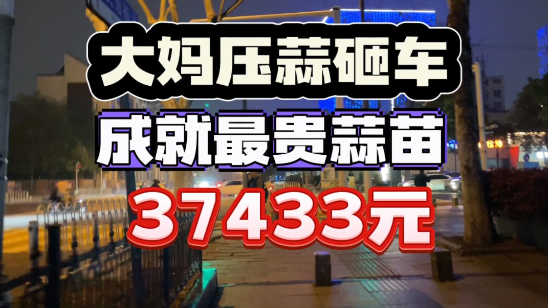 压蒜砸车,最贵蒜苗37433元,奔驰女车主很冷静:我赔蒜苗你赔车哔哩哔哩bilibili