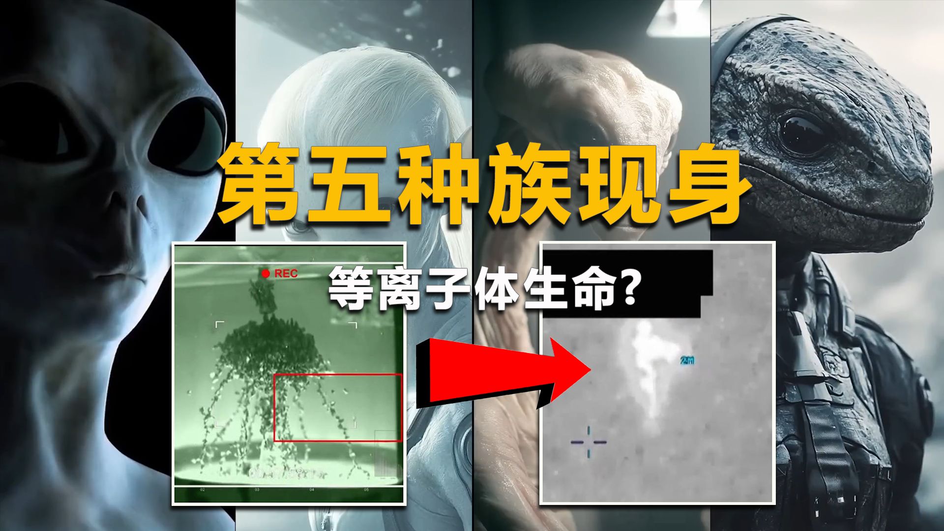 【等离子体生命】和集体消失的科学家，这期节目有点硬核，但很重要