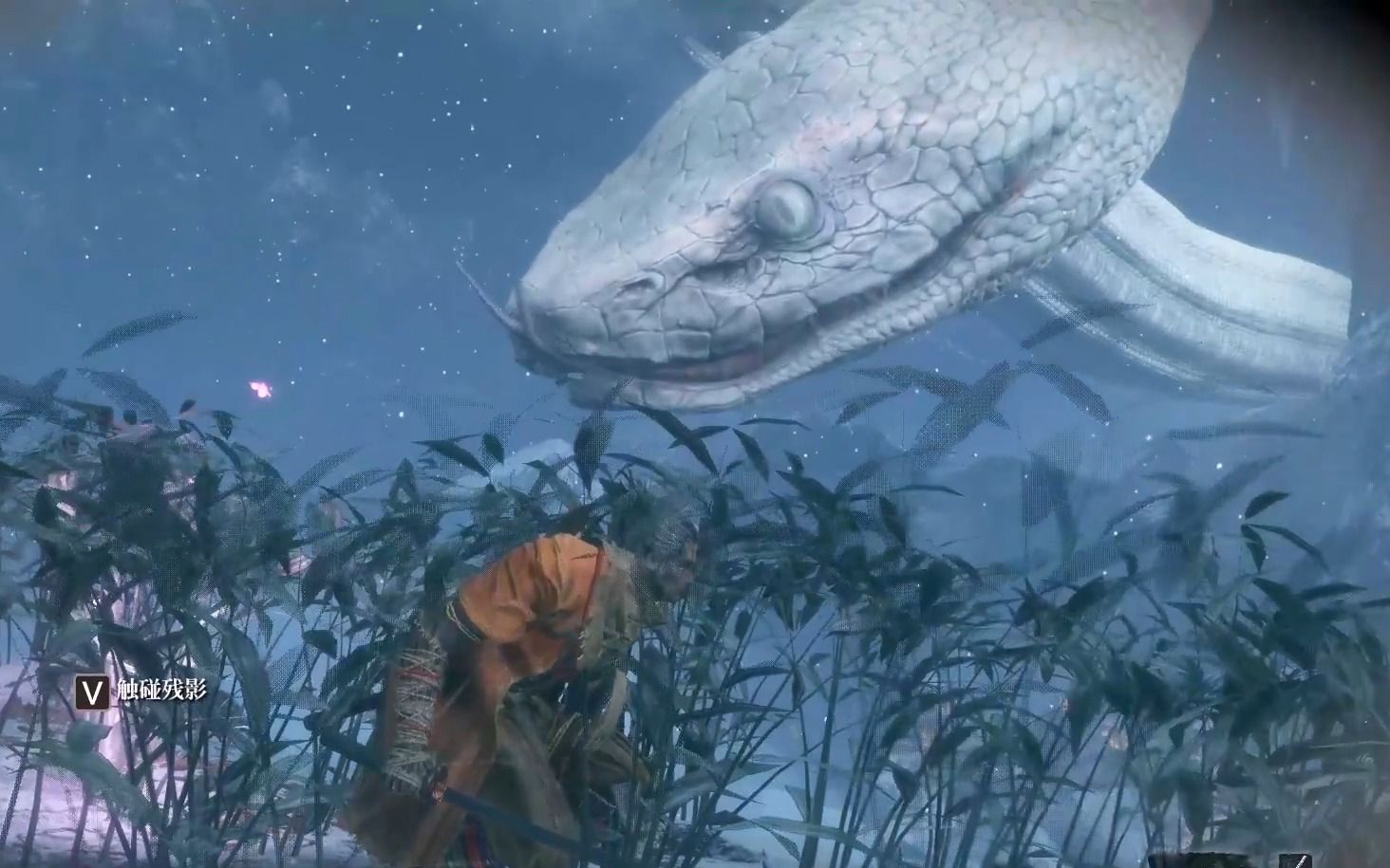 【只狼】这条蛇对于巨物恐惧症来说简直就是噩梦