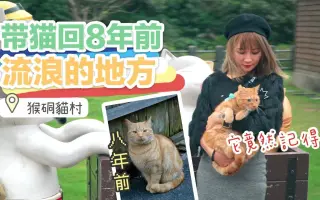 猴硐猫村 搜索结果 哔哩哔哩 Bilibili