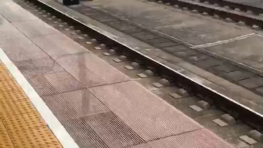 g6022次(深圳北-岳阳东)crh3c