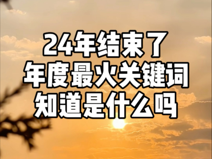 2024年结束了,大家知道今年年度关键词是什么吗?哔哩哔哩bilibili