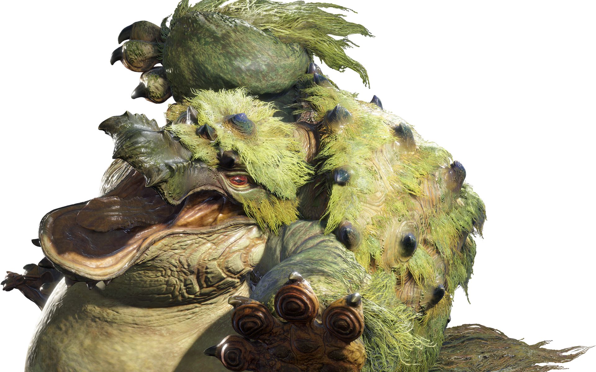 怪物猎人rise初见实况6河童蛙