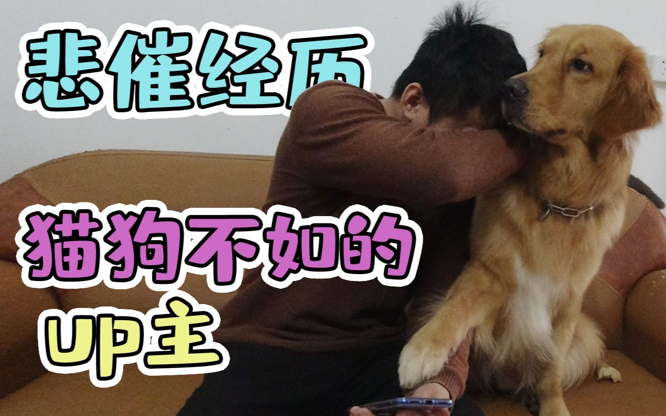 活动作品全网第一个猫狗不如的vlog阿婆主