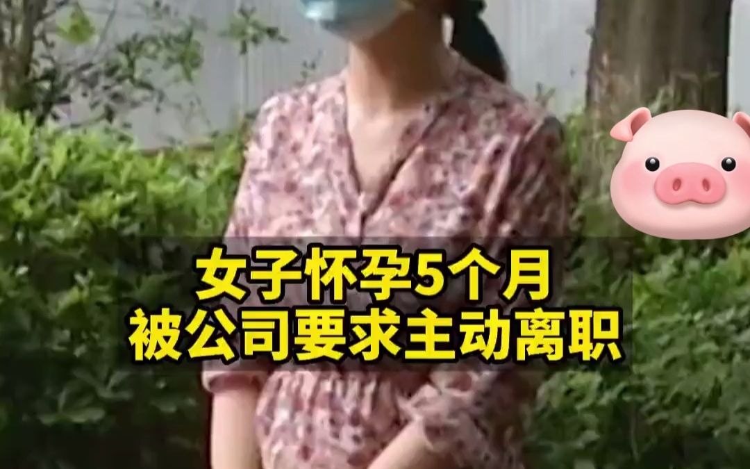 7月28日,湖北经视报道:武汉王女士怀孕5个多月被公司要求主动离职哔哩哔哩bilibili