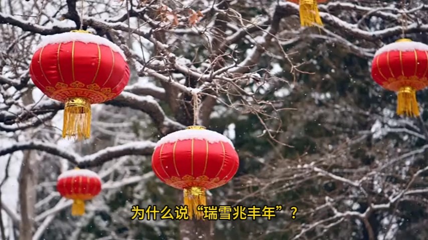 为什么说“瑞雪兆丰年”?哔哩哔哩bilibili